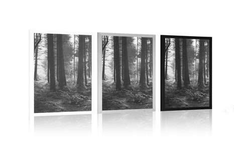 PLAGÁT LES ZALIATY SLNKOM V ČIERNOBIELOM PREVEDENÍ - ČIERNOBIELE - PLAGÁTY