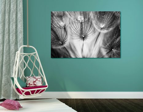 КАРТИНА НА ПЛАТНО – ГЛУХАРЧЕ В ЧЕРНО И БЯЛО - ЧЕРНО-БЕЛИ КАРТИНИ - КАРТИНИ