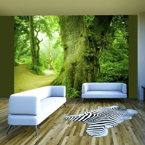 PHOTO WALLPAPER FOREST PATHWAY