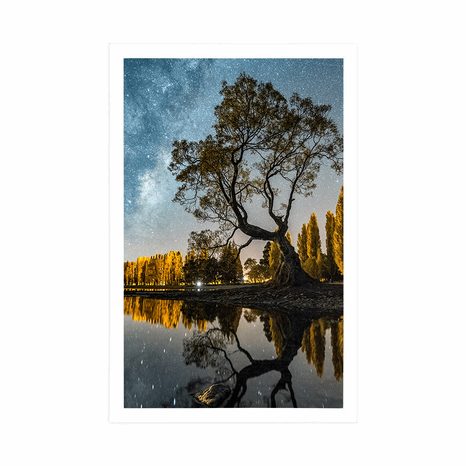 PLAKÁT STROM POD HVĚZDNOU OBLOHOU - PŘÍRODA - PLAKÁTY