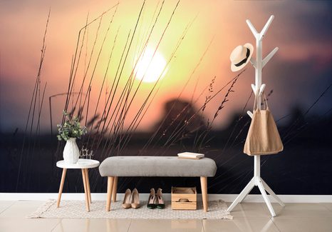 SAMOLEPÍCÍ FOTOTAPETA VÝCHOD SLUNCE NAD LOUKOU - SAMOLEPÍCÍ TAPETY - TAPETY