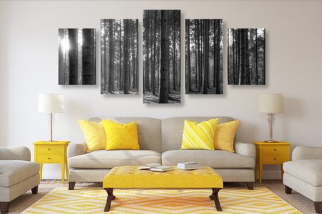 5 RÉSZES KÉP REGGEL AZ ERDŐBEN FEKETE FEHÉRBEN - FEKETE-FEHÉR KÉPEK - KÉPEK