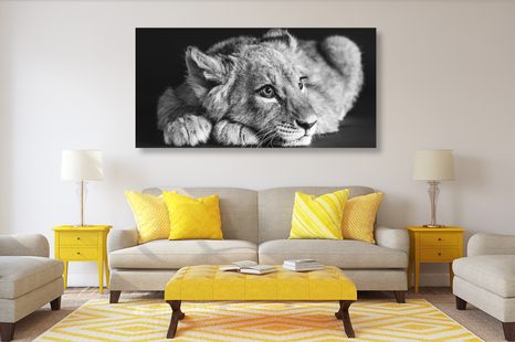 WANDBILD LÖWENJUNGE IN SCHWARZ-WEISS - SCHWARZ-WEISSE BILDER - BILDER