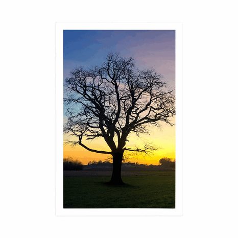 PLAGÁT OČARUJÚCI STROM - PRÍRODA - PLAGÁTY