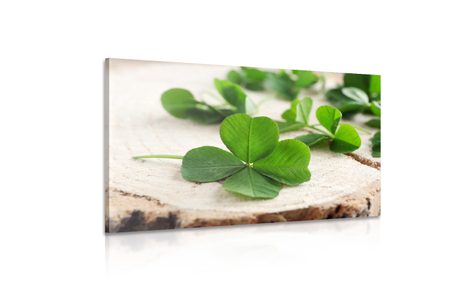 SLIKA ZELENE ŠTIRIPERESNE DETELJICE - SLIKE TIHOŽITJE - SLIKE