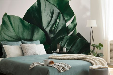 FOTOTAPETA LIST MONSTERY - TAPETY PŘÍRODA - TAPETY