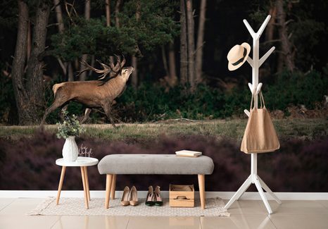 CARTA DA PARATI AUTOADESIVA – CERVO MAESTOSO - CARTA DA PARATI AUTOADESIVE - CARTA DA PARATI