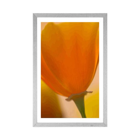 POSTER WITH MOUNT BOUQUET OF FLOWERS IN A CLOSE-UP - FLOWERS - POSTERS