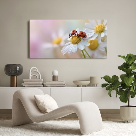 OBRAZ JARNÍ ROZKVETLÁ LOUKA - OBRAZY ZVÍŘAT - OBRAZY