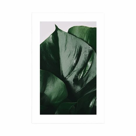 PLAGÁT S PASPARTOU LIST MONSTERY - KVETY - PLAGÁTY