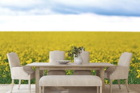 FOTOTAPETE GELBES BLÜHENDES FELD - TAPETEN MIT NATURMOTIVEN - TAPETEN