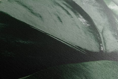 КАРТИНА НА ПЛАТНО – ЛИСТ НА МОНСТЕРА - НАТЮРМОРТИ - КАРТИНИ