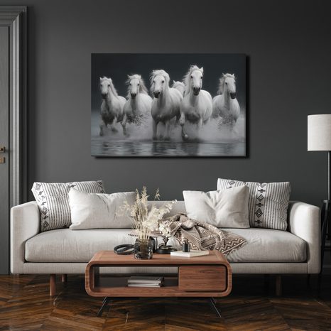 OBRAZ BÍLÍ KONĚ V POHYBU - OBRAZY KONĚ - OBRAZY