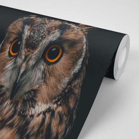 FOTOTAPETE EULE - TAPETEN MIT TIERMOTIVEN - TAPETEN