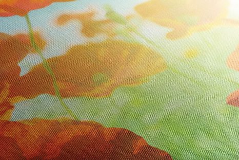 TABLOU MAC SĂLBATIC PE PAJIȘTE - TABLOU FLORI - TABLOURI