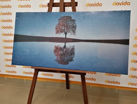 WANDBILD STERNENHIMMEL ÜBER EINEM ALLEINSTEHENDEN BAUM - BILDER VON NATUR UND LANDSCHAFT - BILDER