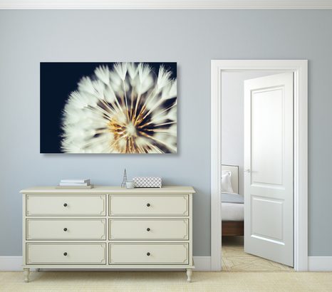 WANDBILD LÖWENZAHN AUF DUNKLEM HINTERGRUND - BILDER BLUMEN - BILDER