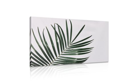 TABLEAU SUR TOILE – MAGNIFIQUE FEUILLE DE PALMIER - TABLEAUX DE NATURES MORTES - TABLEAUX