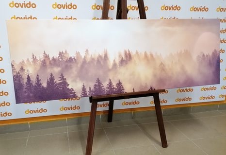 TABLOU CEAȚĂ DEASUPRA PĂDURII - TABLOU NATURĂ ȘI PEISAJE NATURALE - TABLOURI