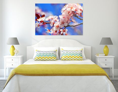 WANDBILD KIRSCHBLÜTE - BILDER BLUMEN - BILDER