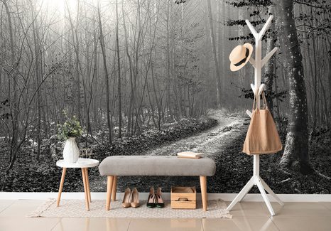 CARTA DA PARATI – SENTIERO NEL BOSCO IN BIANCO E NERO - CARTA DA PARATI BIANCO E NERO - CARTA DA PARATI