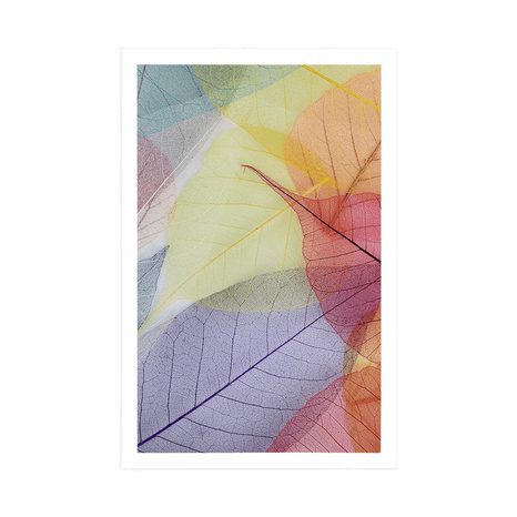 PLAKÁT ŽILKY NA BAREVNÝCH LISTECH - PŘÍRODA - PLAKÁTY