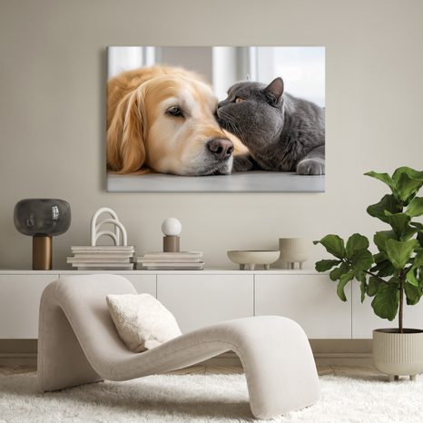 WANDBILD FREUNDSCHAFT ZWISCHEN HUND UND KATZE - BILDER TIERE - BILDER