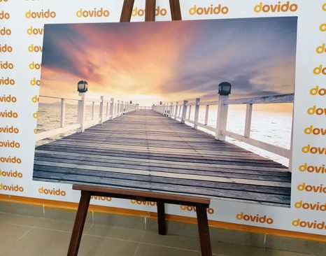 KÉP FA SÉTÁNY - TERMÉSZET- ÉS TÁJKÉPEK - KÉPEK