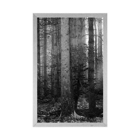 PLAKÁT TAJEMSTVÍ LESA V ČERNOBÍLÉM PROVEDENÍ - ČERNOBÍLÉ - PLAKÁTY