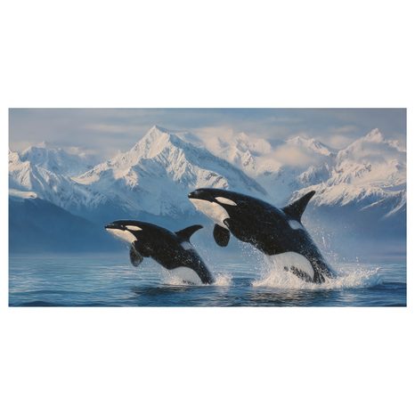 OBRAZ KOSATKY V LEDOVÉ KRAJINĚ - OBRAZY MOŘŠTÍ ŽIVOČICHOVÉ - OBRAZY