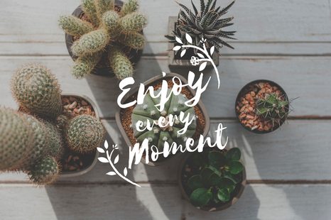 TAPETE MIT ZITAT - ENJOY EVERY MOMENT - TAPETEN MIT ZITATEN UND SPRÜCHEN - TAPETEN