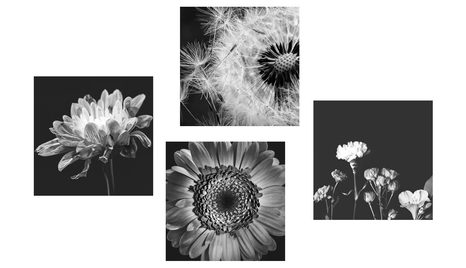 ZESTAW OBRAZÓW CZARNO-BIAŁE DELIKATNE KWIATY - ZESTAWY OBRAZÓW - OBRAZY