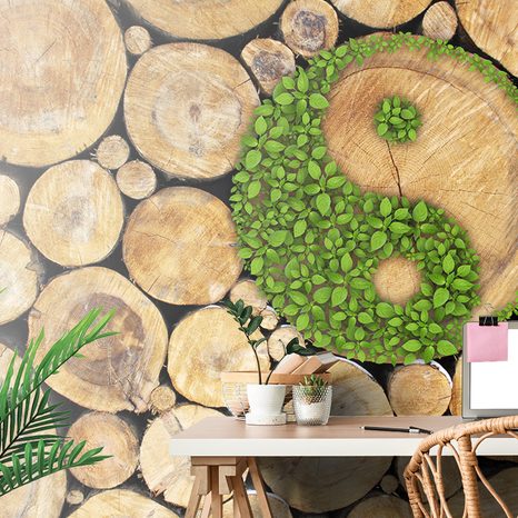 FOTOTAPET YIN ȘI YANG ÎN DESIGN ECO - TAPET FENG SHUI - TAPETURI