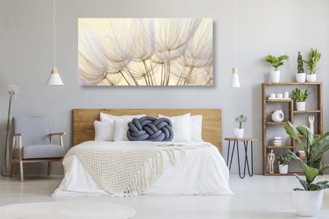 OBRAZ PAMPELIŠKOVÉ SEMENA - OBRAZY - TOTÁLNÍ VÝPRODEJ 🔥