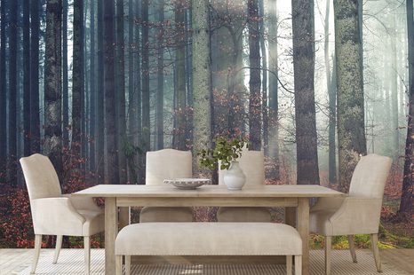 SAMOLEPÍCÍ FOTOTAPETA TAJEMSTVÍ LESA - SAMOLEPÍCÍ TAPETY - TAPETY