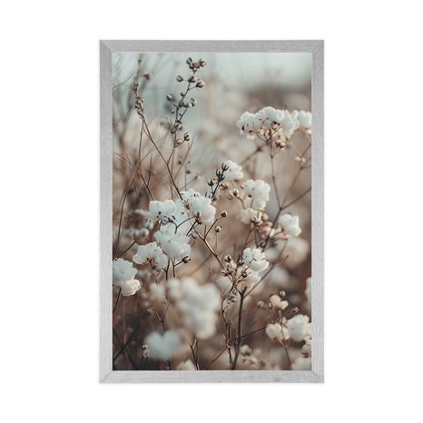 POSZTER GYAPOTNÖVÉNY. - BOTANIKUS - POSZTEREK