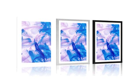 POSTER WITH MOUNT BEAUTIFUL FEATHERS - STILL LIFE - POSTERS