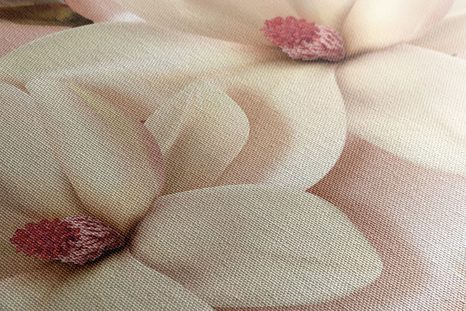 WANDBILD LUXURIÖSE MAGNOLIE MIT PERLEN - BILDER BLUMEN - BILDER