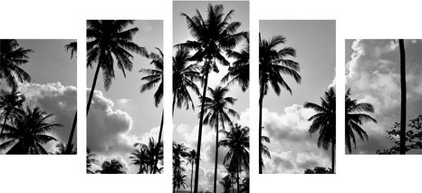 5 RÉSZES KÉP KÓKUSZ PÁLMAFÁK A TENGERPARTON FEKETE FEHÉRBEN - FEKETE-FEHÉR KÉPEK - KÉPEK