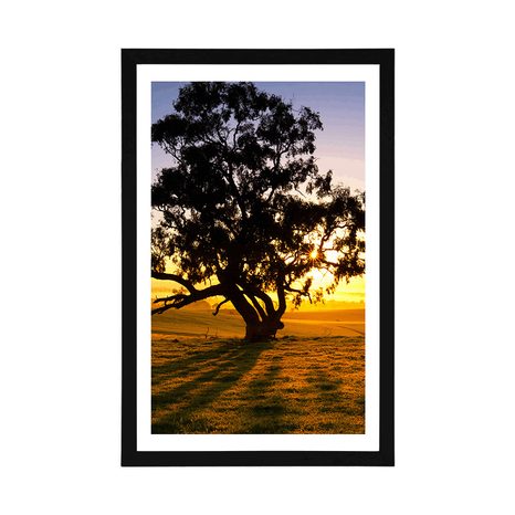 POSTER WITH MOUNT LONELY TREE AT SUNSET - NATURE - POSTERS