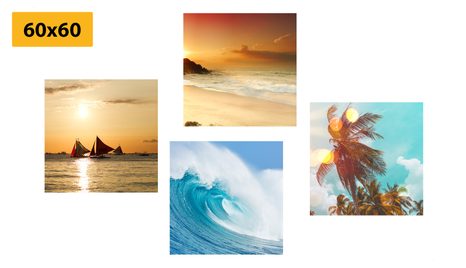 SET OBRAZŮ ŽIVOT U MOŘE - SESTAVY OBRAZŮ - OBRAZY