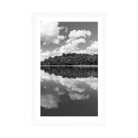 POSTER – NATURA IN ESTATE IN BIANCO E NERO - NERO E BIANCO - POSTER