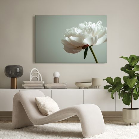 OBRAZ NĚŽNÁ BÍLÁ PIVOŇKA - OBRAZY KVĚTŮ - OBRAZY