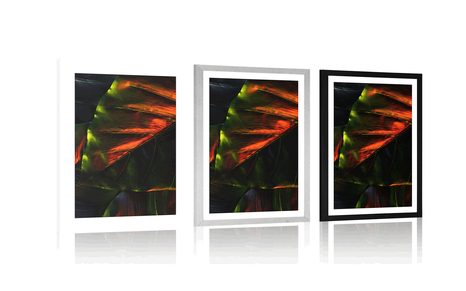 PLAGÁT S PASPARTOU TROPICKÉ PALMOVÉ LISTY - PRÍRODA - PLAGÁTY