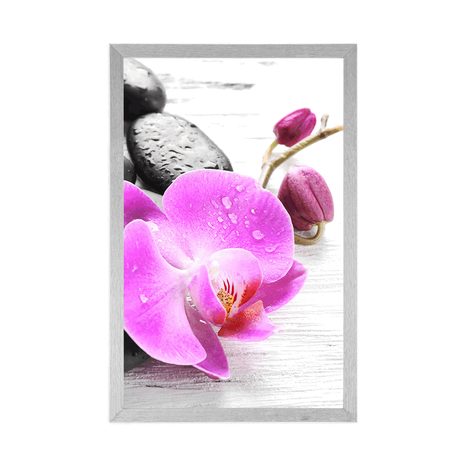 PLAGÁT KÚZELNÁ SÚHRA KAMEŇOV A ORCHIDEY - FENG SHUI - PLAGÁTY