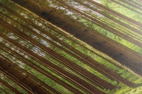 REGGEL AZ ERDŐBEN - TERMÉSZET- ÉS TÁJKÉPEK - KÉPEK