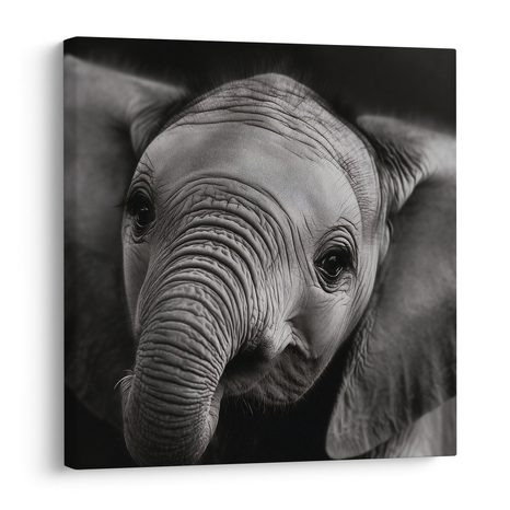 WANDBILD SCHWARZ-WEISSES PORTRÄT EINES ELEFANTEN - BILDER VON ELEFANTEN - BILDER