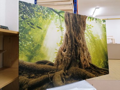 SLIKA KROŠNJA DREVESA - SLIKE NARAVE IN POKRAJINE - SLIKE