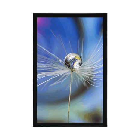 PLAGÁT KVAPKA ROSY NA FAREBNOM POZADÍ - KVETY - PLAGÁTY