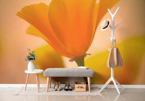 FOTOTAPETA NÁDHERNÁ KVĚTINA - TAPETY KVĚTINY - TAPETY